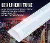 led linear tube